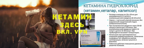 индика Нея