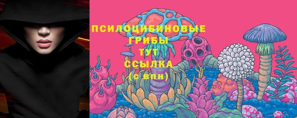 индика Нея